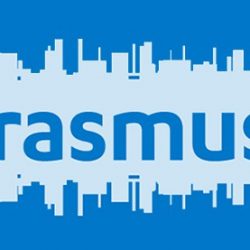 Erasmus traineeships