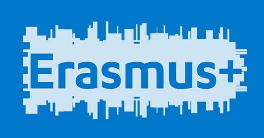 Erasmus traineeships