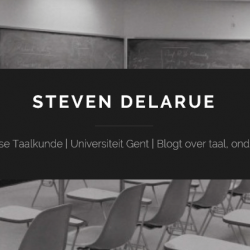 www.stevendelarue.be