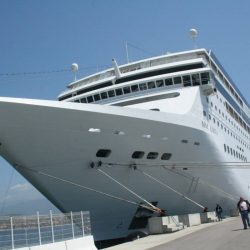 CLIP taalcruise