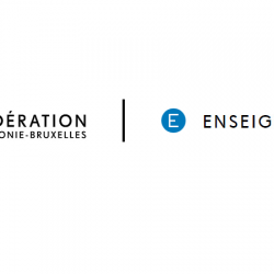 enseignement en immersion